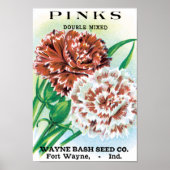 pootpastekunst, Pinks carnenbloemen Poster (Voorkant)