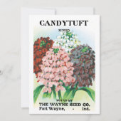  pootpastekunst, tuinbouwers (Voorkant)