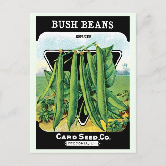 pootverpakkingslabeling kunst, Struik boon Veggie Briefkaart (Voorkant)