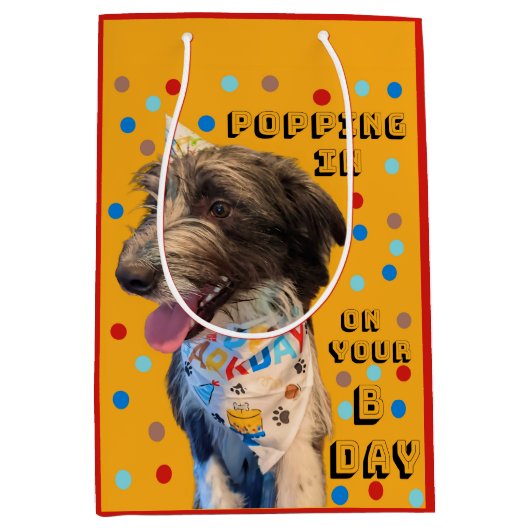 Pop Anniversaire En Puppy Sac Cadeau (Devant)