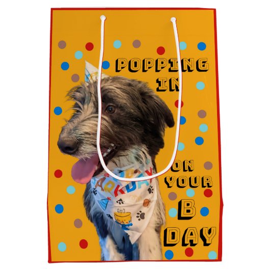 Pop Anniversaire En Puppy Sac Cadeau (Dos)