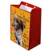 Pop Anniversaire En Puppy Sac Cadeau (Dos Angle)