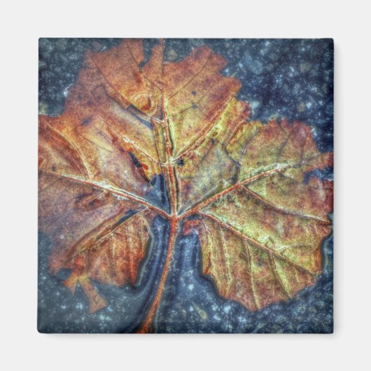 Pop Art Autumn Leaf Magnet Magneet (Voorkant)