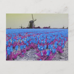 Pop Art Blue Tulips Windmills Landscape Briefkaart