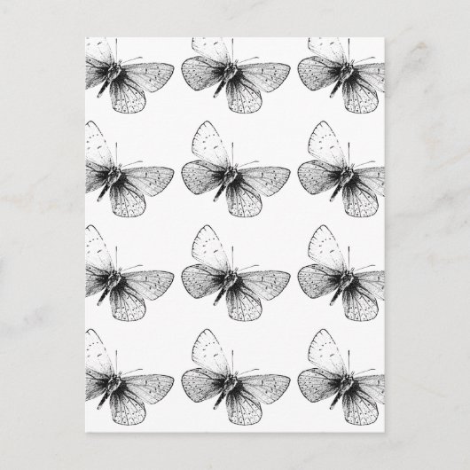 Pop Art Butterfly Briefkaart (Voorkant)