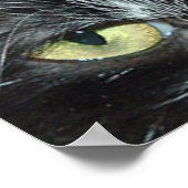 Pop Art Cat Poster (Hoek)