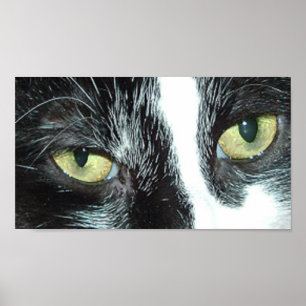 Pop Art Cat Poster