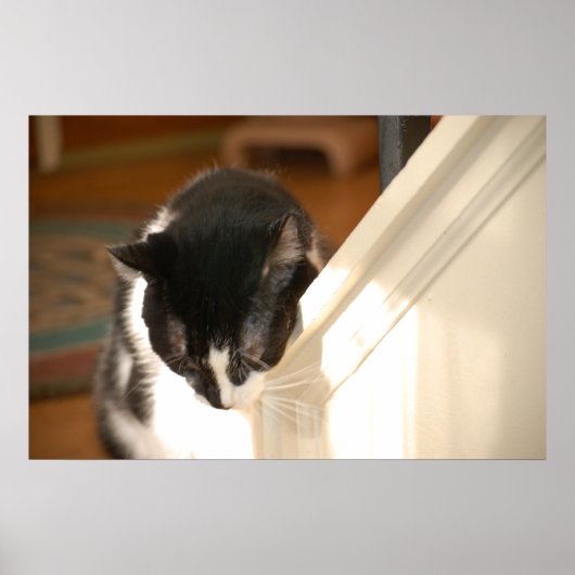 Pop Art Cat Poster (Voorkant)