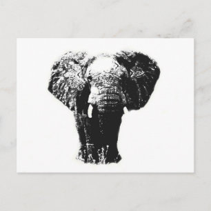 Pop Art Elephant Briefkaart