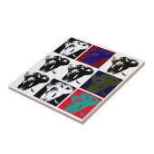 Pop Art Elephants Tegeltje (Zijkant)