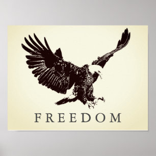 Pop Art Freedom Eagle Landing  Poster