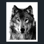 Pop Art Grey Wolf Face Poster Imprimer<br><div class="desc">OEuvres, peintures, images et images d'animaux sauvages</div>