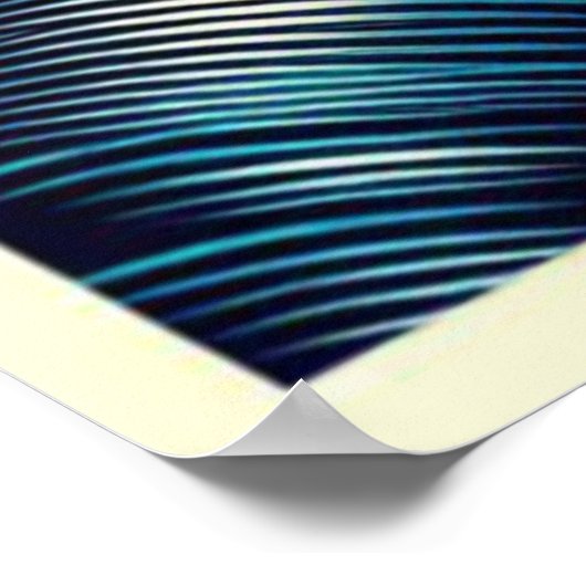 POP ART IGUANA 4 POSTER (Hoek)