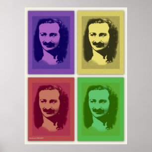 Pop Art Meher Baba Portret Poster Afdrukken