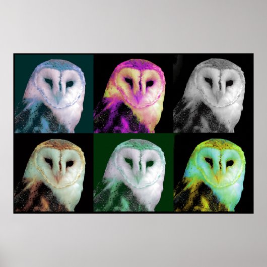 Pop Art Owl Poster (Voorkant)