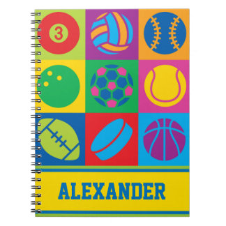 Pop Art Sports Balls Notitieboek
