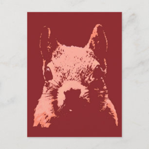 Pop Art Squirrel Briefkaart