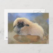  pop briefkaart (Voorkant / Achterkant)