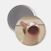 Pop Cat Magnet Magneet (Voorkant / Achterkant)