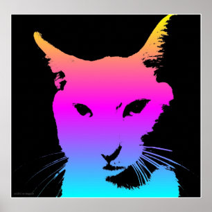 Pop Cat Poster