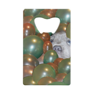 Pop Fest: Grappig Staffy Puppy in de ballonnen, Kredietkaart Flessenopener
