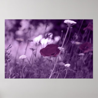 pop-i paarse afdruk poster