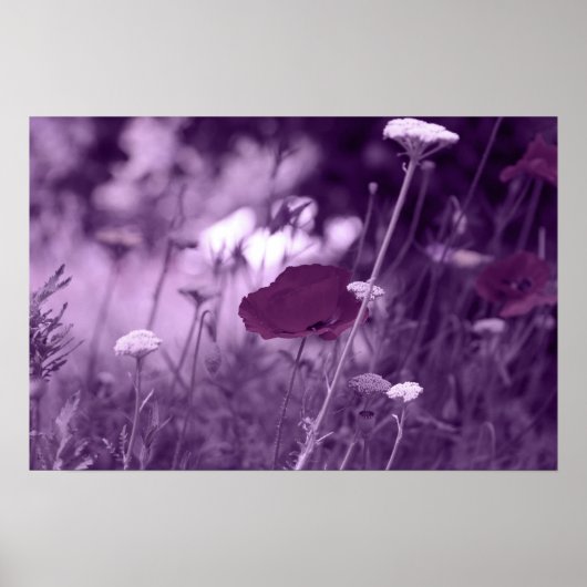 pop-i paarse afdruk poster (Voorkant)