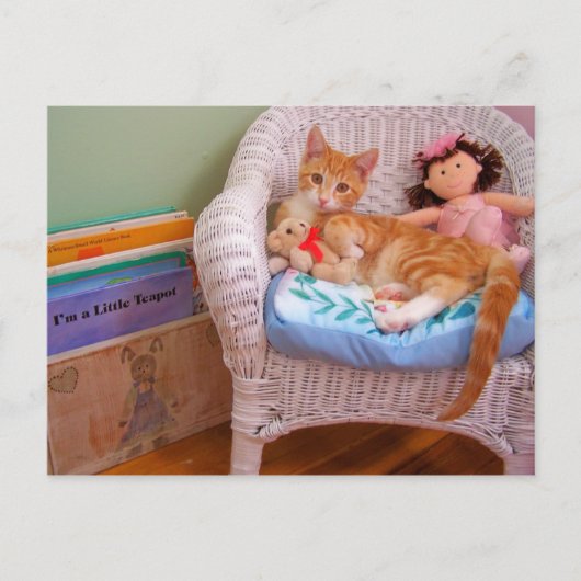 pop kat Cole Briefkaart (Voorkant)