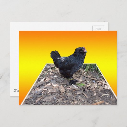Pop van gele kippen uit Art Briefkaart (Voorkant / Achterkant)