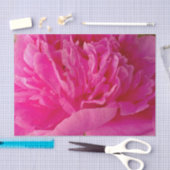 Pop VAN HET PAPIER Pink Peony-TISSUE WRAPPING (Craft)