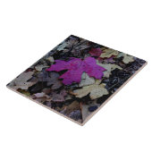 Pop van het roze blad tegeltje (Zijkant)