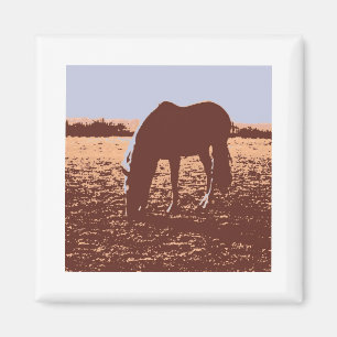 Pop voor paardengrazing magneet