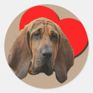 PopArt Colorful Bloodhound Heart Love Art Ronde Sticker