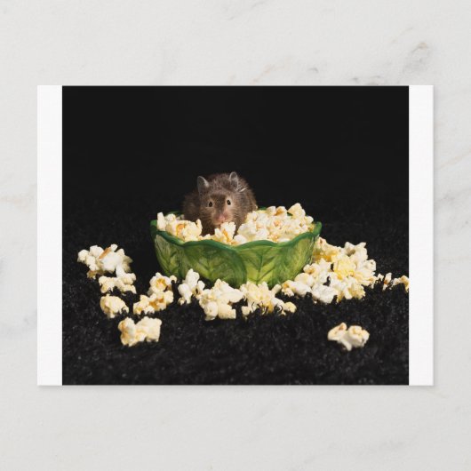 Popcorn Briefkaart (Voorkant)