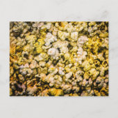 Popcorn Briefkaart (Voorkant)
