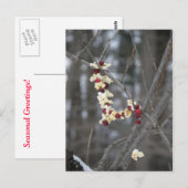 Popcorn en Cranberries Garland Briefkaart (Voorkant / Achterkant)