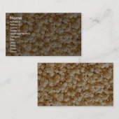 Popcorn Visitekaartje (Voorkant / Achterkant)