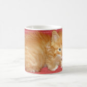 Popeye Koffiemok (Center)