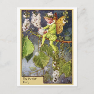 Poplar Fairy Briefkaart