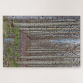 Poplar Grove Legpuzzel (Horizontaal)