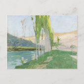 Poplars Groeit nabij een waterloop Briefkaart (Voorkant)
