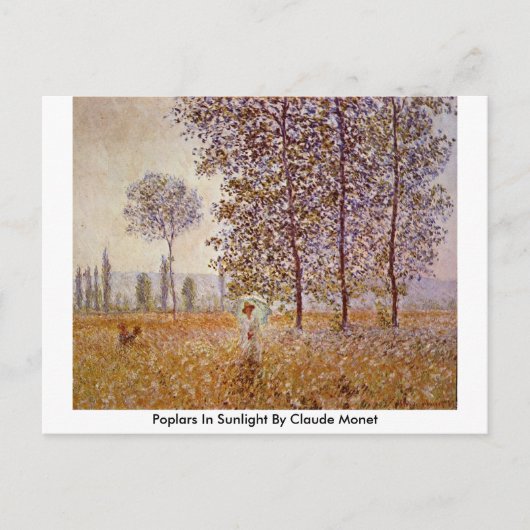 Poplars in Sunlight door Claude Monet Briefkaart (Voorkant)
