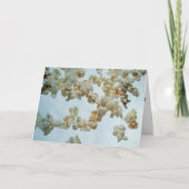 "POPPEN MET LAUGHTER" OMDAT U "50" BENT KAART (Voorkant)