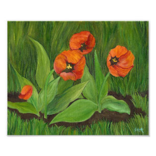 Poppie bloeiende tulpen foto afdruk