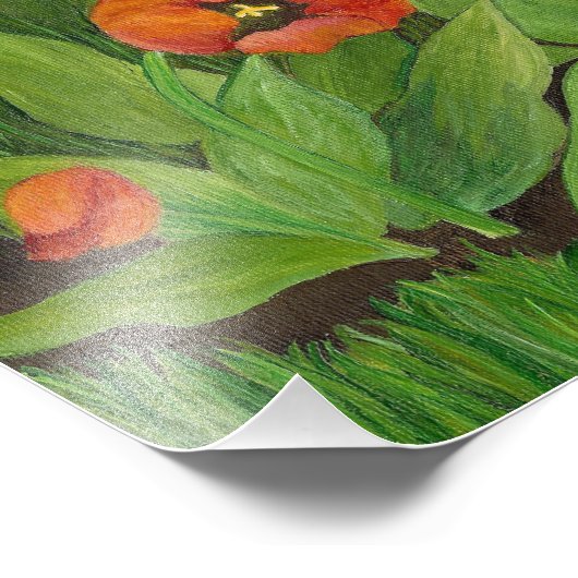 Poppie bloeiende tulpen foto afdruk (Hoek)