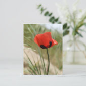 Poppie Briefkaart (Staand voorkant)