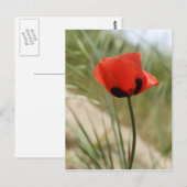 Poppie Briefkaart (Voorkant / Achterkant)