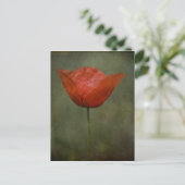 Poppie briefkaart (Staand voorkant)