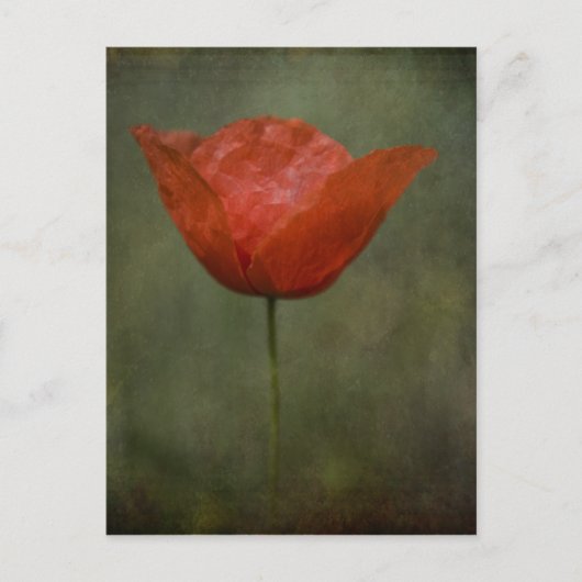 Poppie briefkaart (Voorkant)