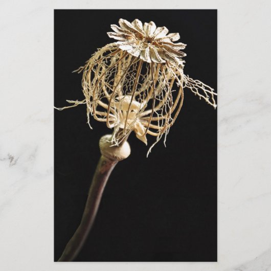 Poppie Briefpapier (Voorkant)
